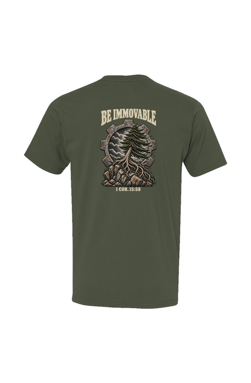 Be Immovable 1 Corinthians 15 58